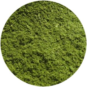 Moringa Oliefeira gemalen thee