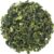 Milky Oolong thee